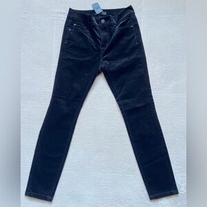 ANN TAYLOR “The Skinny” Velour Pants, Size 00 Petite, NWT